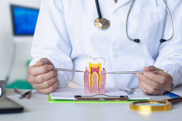 Best Urgent Dental Care for Toothache in Forestbrook, SC